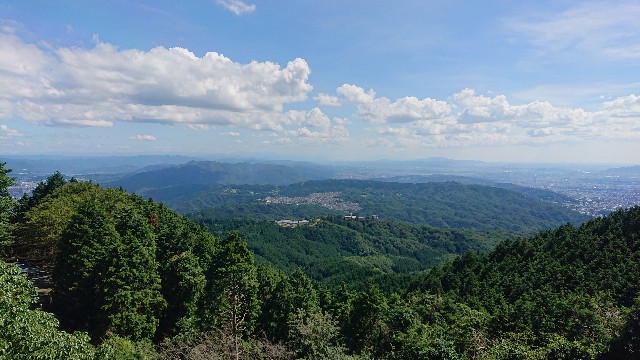 f:id:hoozukireiko:20190813215424j:image