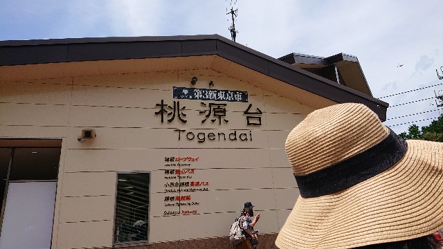 f:id:hoozukireiko:20200811144038j:plain