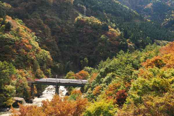 【撮影記】秋の田沢湖線~仙岩峠 本日も「鉄曜日」