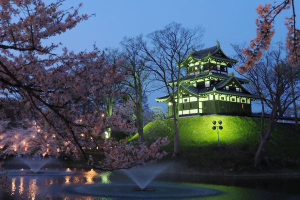 街ブラ】日本三大夜桜～新潟 高田城址公園へ（新潟県 上越市） - 本日