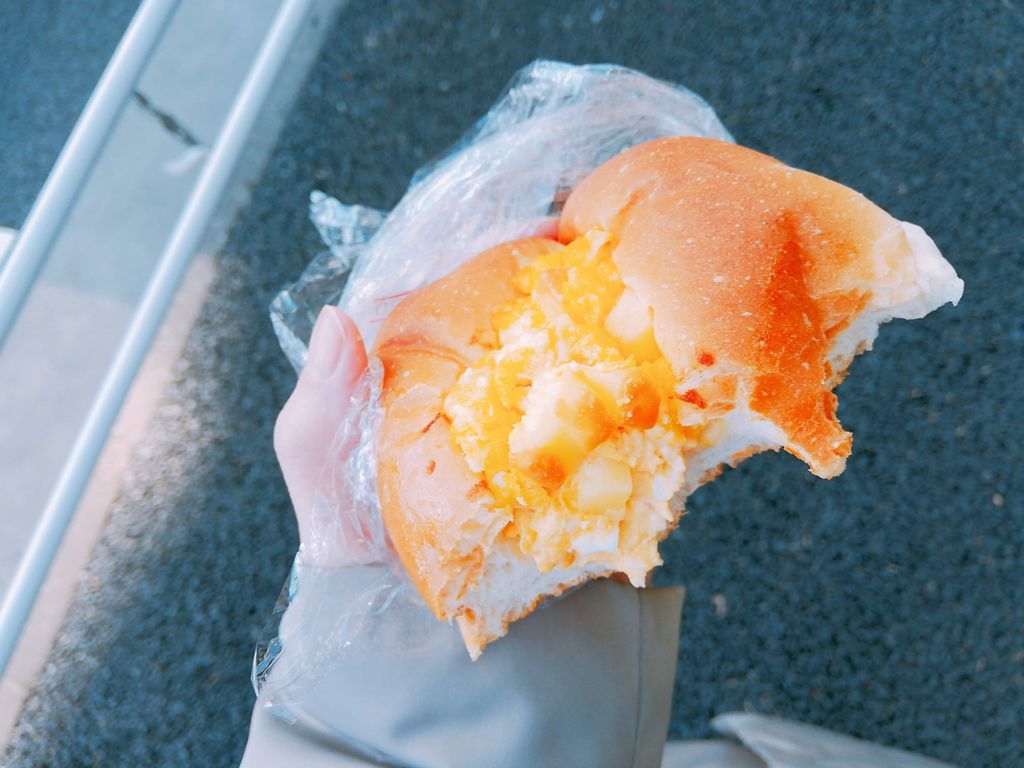 f:id:hope-poteshine:20190214002637j:plain