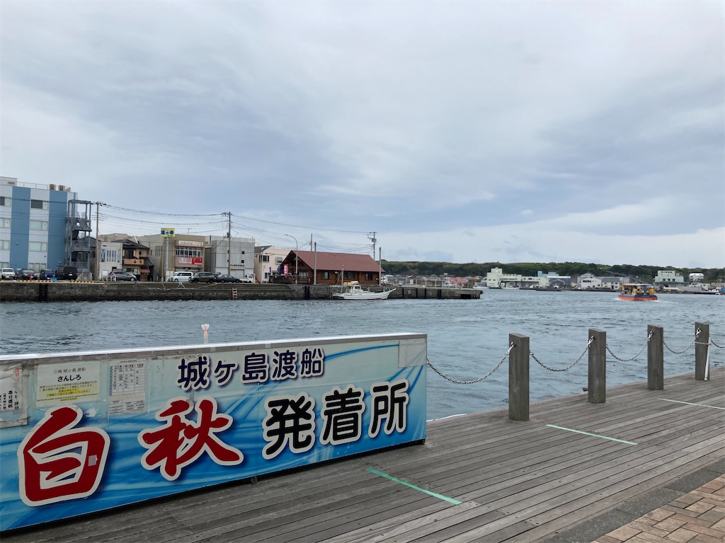 f:id:hopeandcape:20210506213151j:image