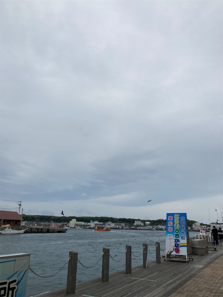f:id:hopeandcape:20210506213155j:image