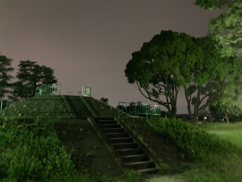 f:id:hopeandcape:20210612133343j:image