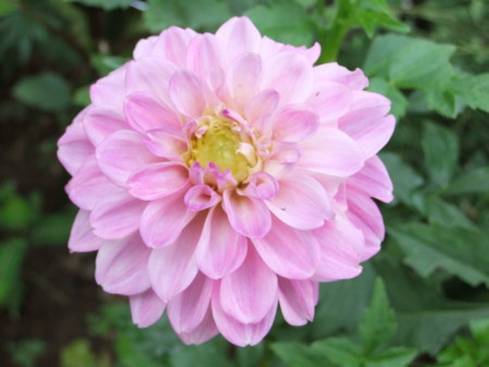 f:id:hopinya:20110820140453j:image