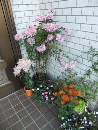 f:id:hopinya:20111120145758j:image