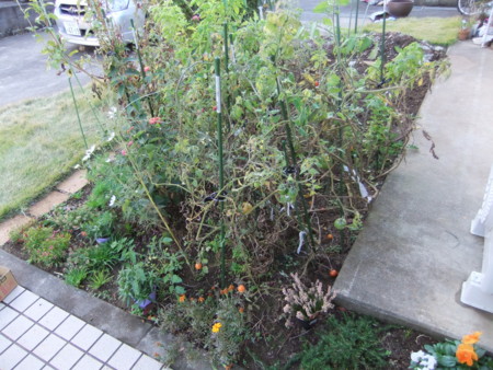 f:id:hopinya:20111120145811j:image