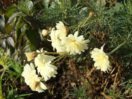 f:id:hopinya:20111210072919j:image