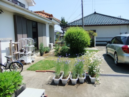 f:id:hopinya:20120519091731j:image