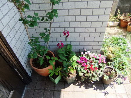 f:id:hopinya:20120519092118j:image