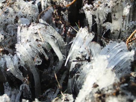 f:id:hopinya:20120531190818j:image