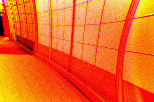 昭和京都の怪談綴りによるイツサワリの御札のある神社の本殿