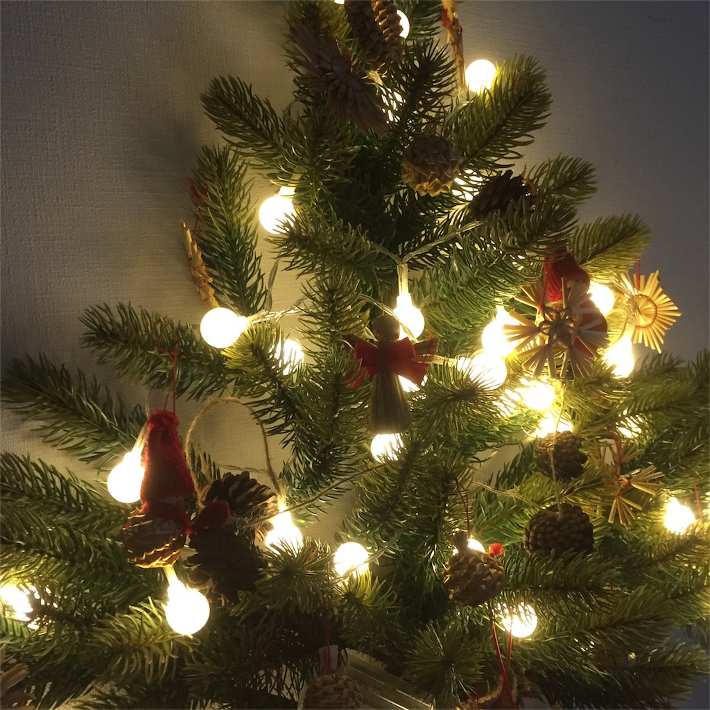 f:id:hoppetaro:20181202212508j:image