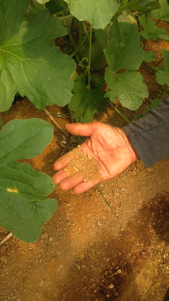 f:id:hops125:20160717133853j:plain f:id:hops125:20160717133853j:plain
