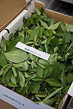 f:id:hops125:20161219122024j:plain f:id:hops125:20161219122024j:plain