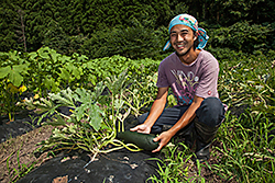 f:id:hops125:20161219122108j:plain f:id:hops125:20161219122108j:plain