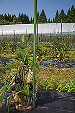 f:id:hops125:20161219122112j:plain f:id:hops125:20161219122112j:plain