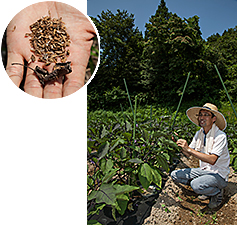 f:id:hops125:20161219122120j:plain f:id:hops125:20161219122120j:plain