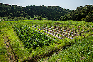 f:id:hops125:20161219122129j:plain f:id:hops125:20161219122129j:plain