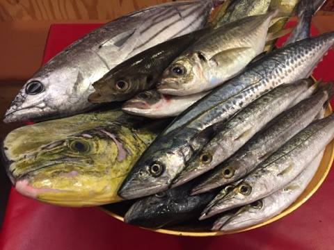 f:id:horahora2013:20171014131941j:plain