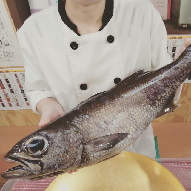 f:id:horahora2013:20181109012343j:image