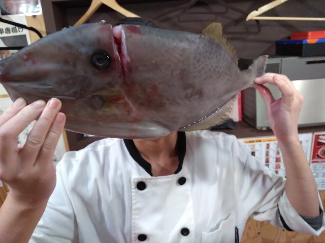f:id:horahora2013:20181109012408j:image