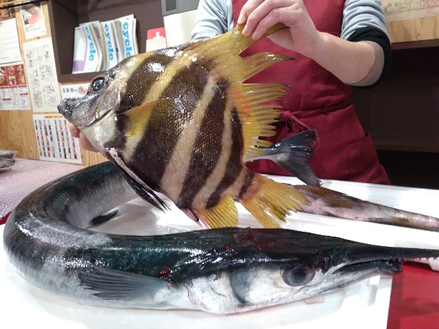 f:id:horahora2013:20181116110233j:image