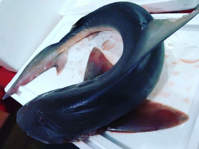 f:id:horahora2013:20181213210722j:image