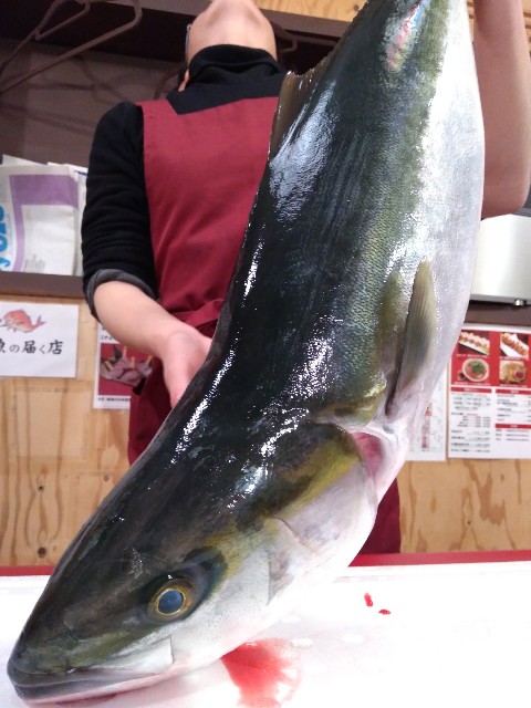 f:id:horahora2013:20190106103742j:image