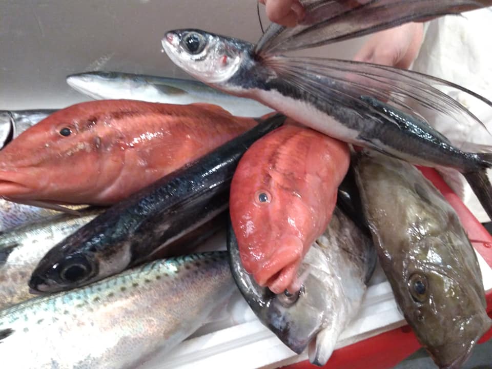 f:id:horahora2013:20190126170915j:plain