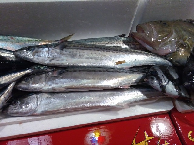 f:id:horahora2013:20200604122334j:image