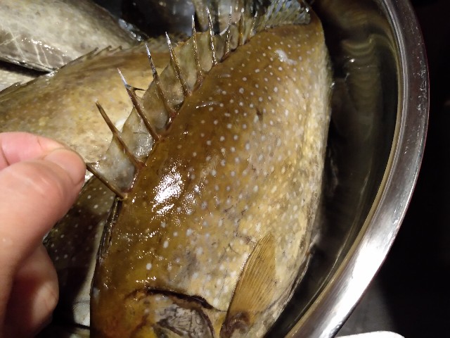 f:id:horahora2013:20200812134934j:image