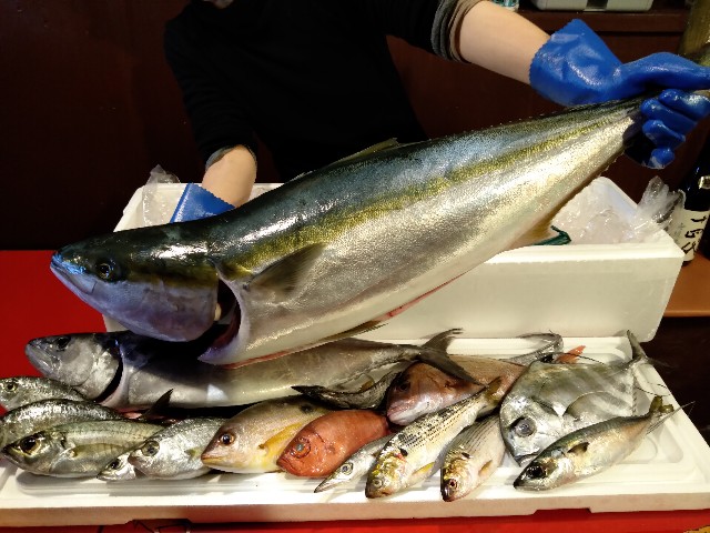 魚はきましたが ほらほら日記 京都たかばし 漁港直送 居酒屋 ほらほら の日常