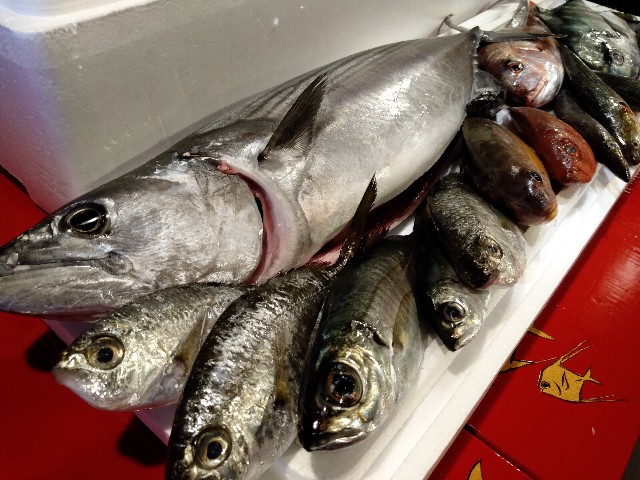 魚はきましたが ほらほら日記 京都たかばし 漁港直送 居酒屋 ほらほら の日常