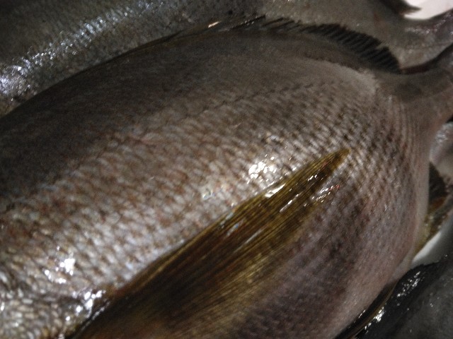 f:id:horahora2013:20220912155725j:image