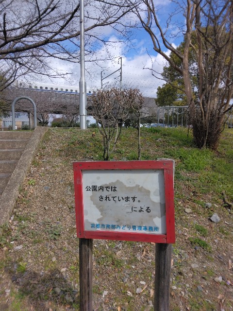 f:id:horahora2013:20240302124824j:image