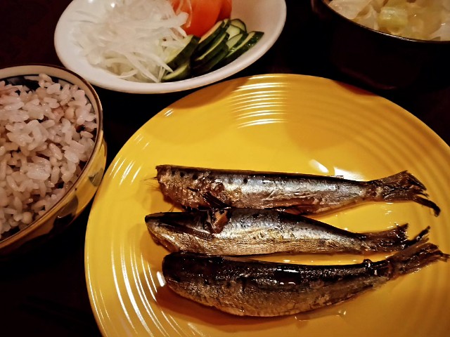 f:id:horahora2013:20240703210218j:image