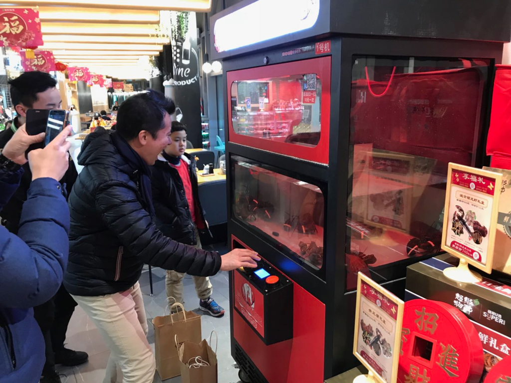 f:id:horamune:20190123172354p:plain f:id:horamune:20190123172354p:plain
