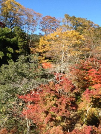 f:id:horga:20121116131752j:image