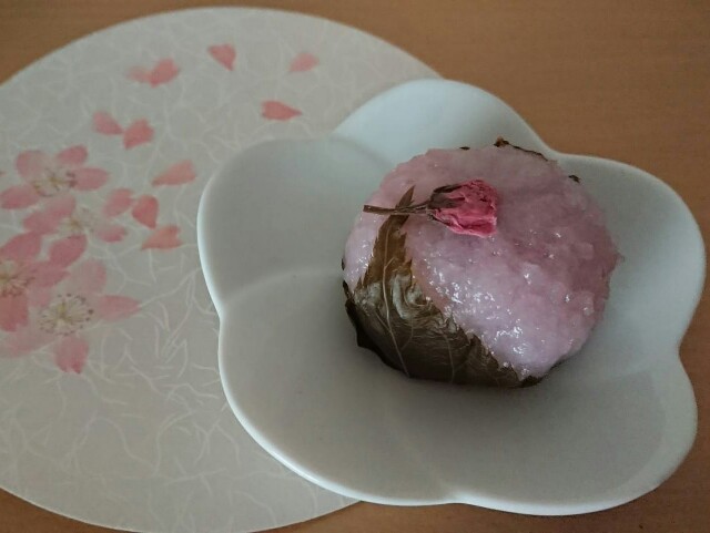 f:id:hori9101:20190304051401j:image