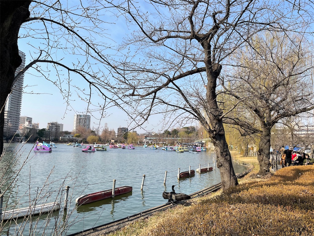 f:id:horicun:20220313014029j:image