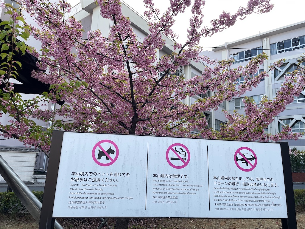 f:id:horicun:20220321232317j:image