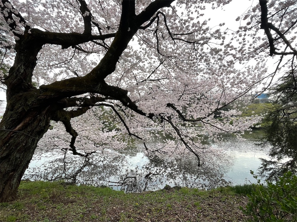 f:id:horicun:20220331234803j:image