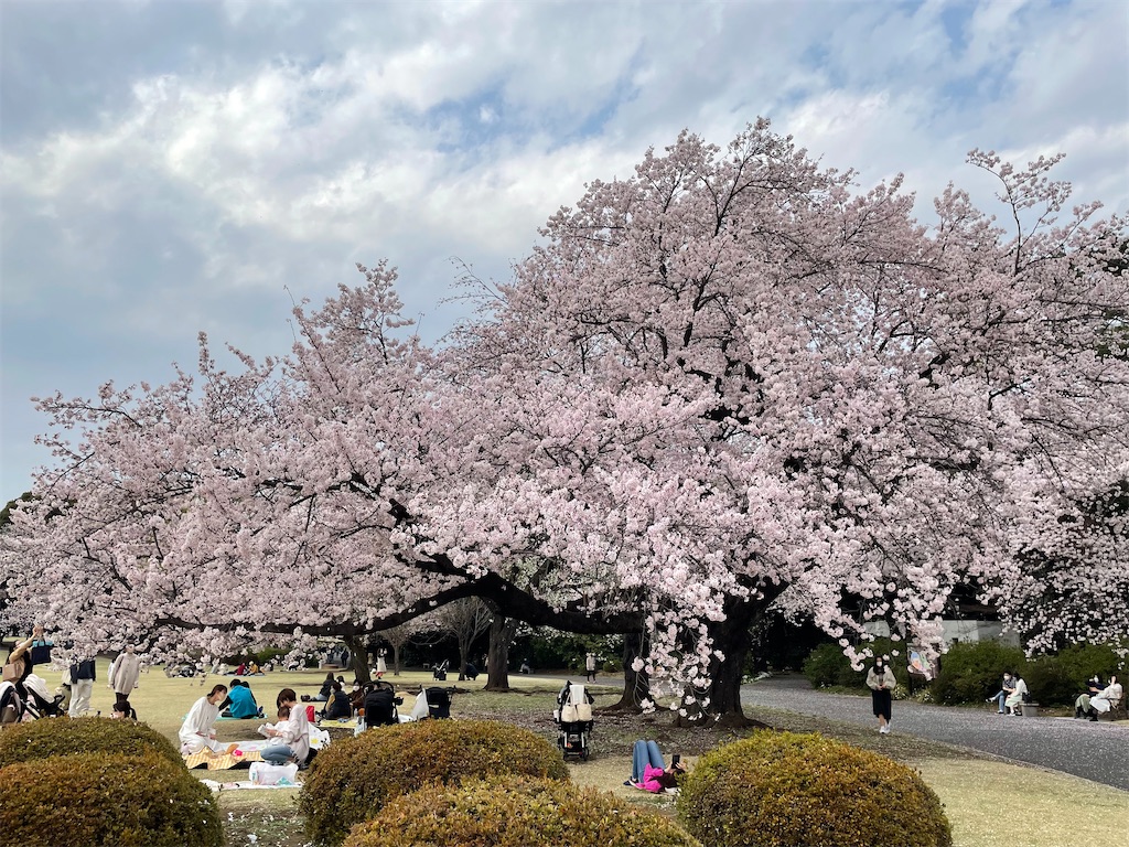 f:id:horicun:20220331234806j:image