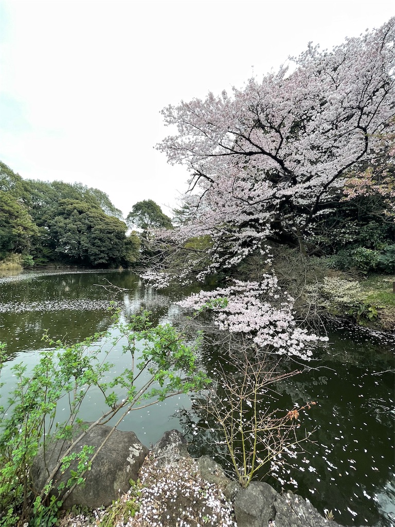 f:id:horicun:20220331234809j:image