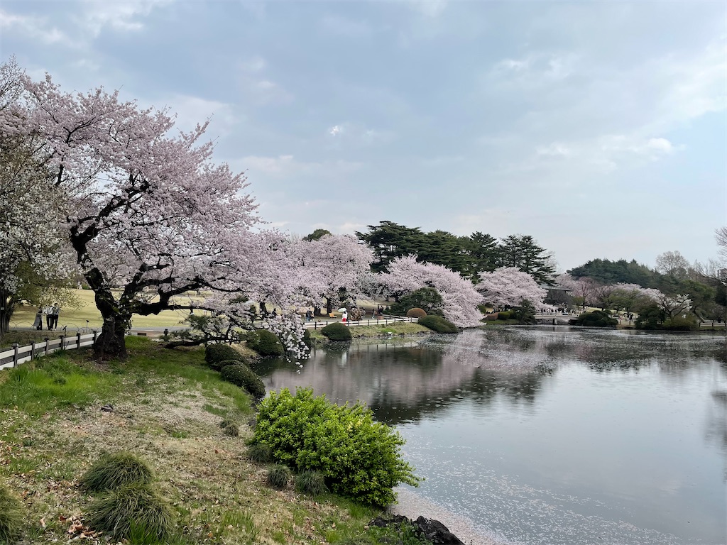 f:id:horicun:20220331234812j:image