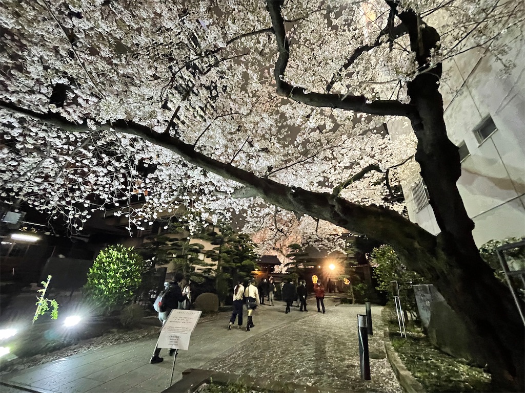 f:id:horicun:20220331235041j:image