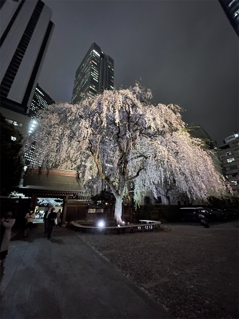 f:id:horicun:20220331235044j:image