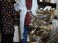 えさを待つ「パピコ」メス6歳