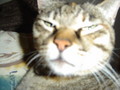 20070504151456
